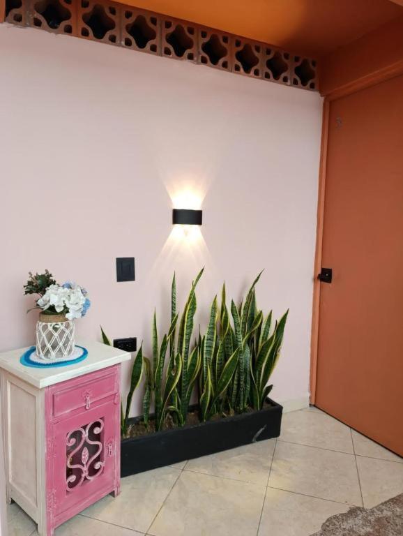Hostal Casa Primavera Medellin Exterior photo