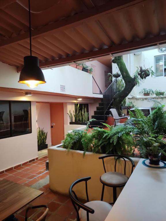 Hostal Casa Primavera Medellin Exterior photo