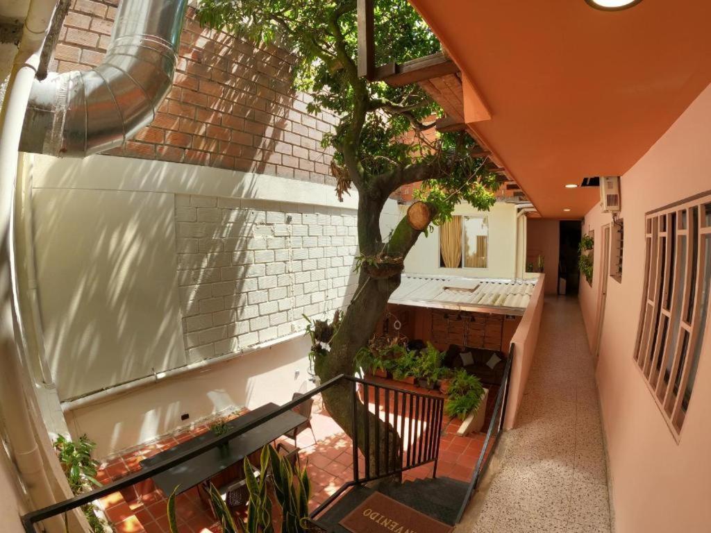 Hostal Casa Primavera Medellin Exterior photo